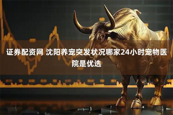 证券配资网 沈阳养宠突发状况哪家24小时宠物医院是优选